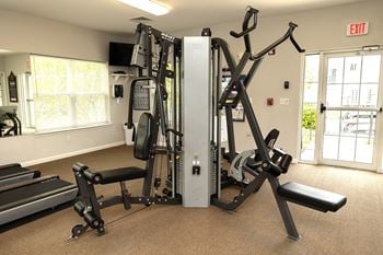 A gym with a treadmill, weights, and exercise equipment.